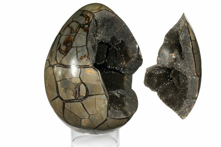 Septarian Dragon Egg Geode - Removable Section #121266